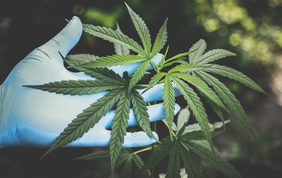 Arrested or Charged with Possession of Marijuana (G.S. 90-95) in North Carolina?
