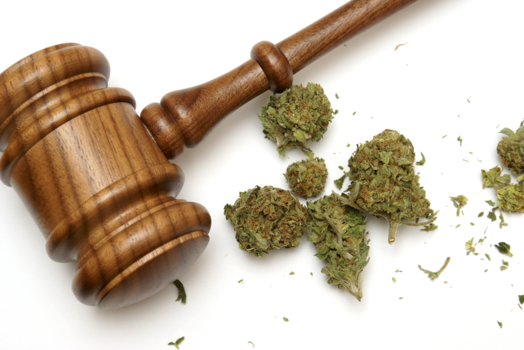 Marijuana lawyer offering cannabis legal advice and defense services.